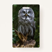 Photo Enlargement バッジ (正面)