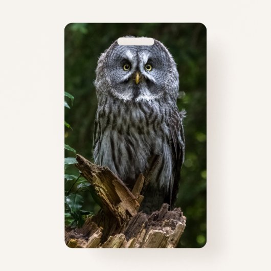 Photo Enlargement バッジ (正面)