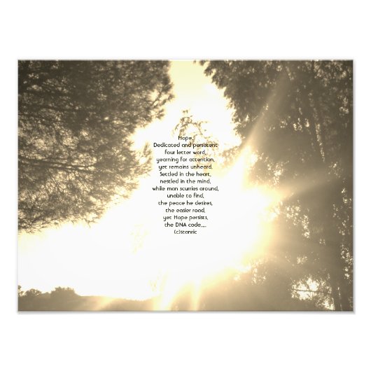 Photo Enlargement フォトプリント (正面)