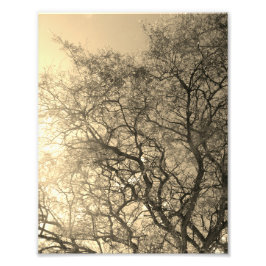 Photo Enlargement フォトプリント