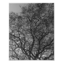 Photo Enlargement フォトプリント