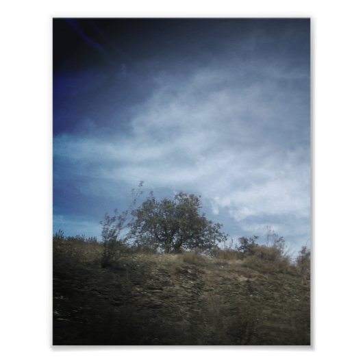 Photo Enlargement フォトプリント (正面)