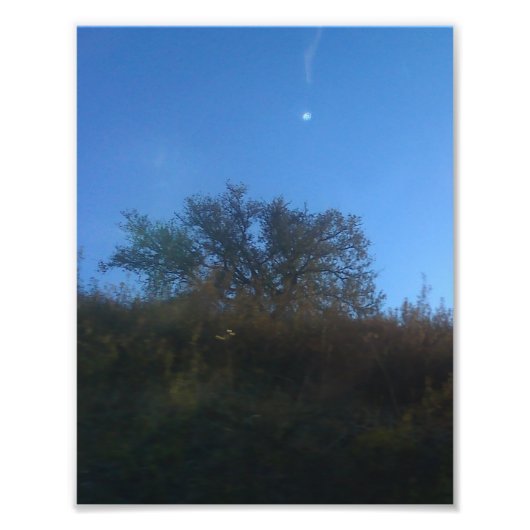 Photo Enlargement フォトプリント (正面)