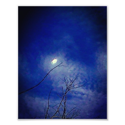 Photo Enlargement フォトプリント (正面)