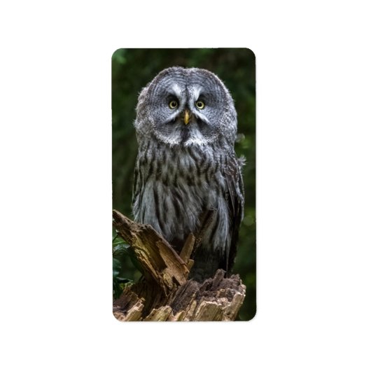 Photo Enlargement ラベル (正面)