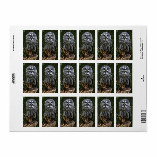 Photo Enlargement ラベル (フルシート)