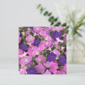 Photo Image Of Morning Glory Pink & Purple Flowers カード (スタンド正面)