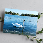 Photo Kensignton Gardens The 王室の Park LONDON UK ポストカード<br><div class="desc">ケンジントン公園の丸い池で泳ぐ美しい白い白鳥王室のの白鳥London UK – 写真はがき – 2019年9月 – アンカ撮影</div>
