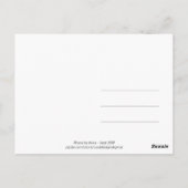 Photo Kensignton Gardens The 王室の Park LONDON UK ポストカード (裏面)