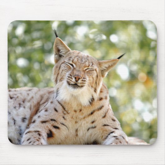 photo lynx cat animals.マウスパッド マウスパッド (正面)