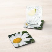 photo marguerite avec la rosée du matin コースター (右側)