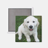 Photo Modern Simple Custom Cute Pet マグネット (正面/裏面)