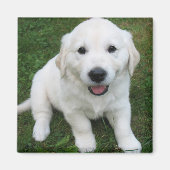 Photo Modern Simple Custom Cute Pet マグネット (正面)