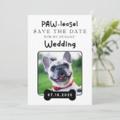 Photo My Humans Getting Married セーブザデート (スタンド正面)