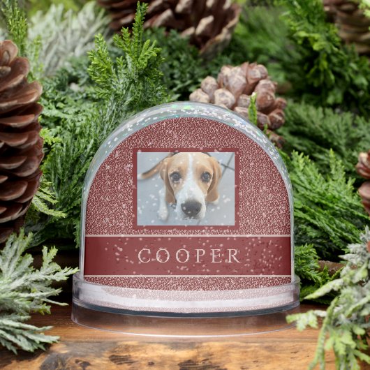 PHOTO NAME ELEGANT MAROON RED CREAM FOLIAGE   (冬)