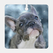 Photo + Name 🐶🐱 Personalized Best Dog or Puppy メタルオーナメント (裏面)