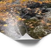 photo of a mountainous autumn forest, mountains, p フォトプリント            (角)