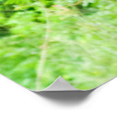 Photo of black goat with horns grazing grass ポスター (角)