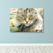 Photo of Brown Longhed Barn Catキャンバスプリント キャンバスプリント (インサイチュ (ウッドフロア))