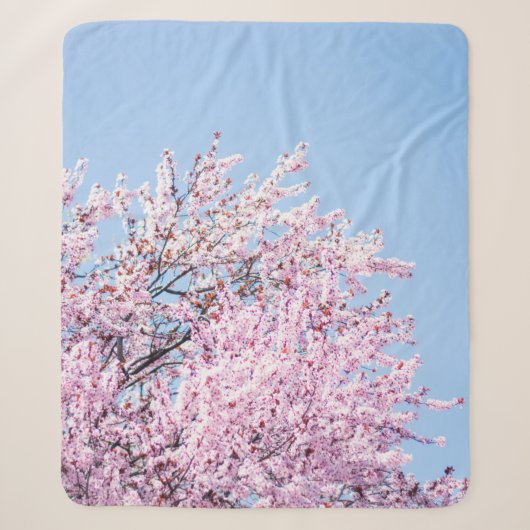 PHOTO OF CHERRY BLOSSOM TREE シェルパブランケット (正面)