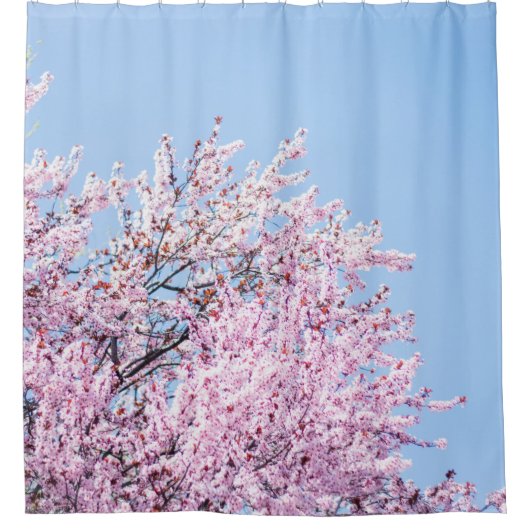 PHOTO OF CHERRY BLOSSOM TREE シャワーカーテン (正面)