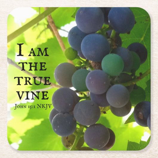 Photo of Purple Grues Gospel of John Bible Verse スクエアペーパーコースター (正面)