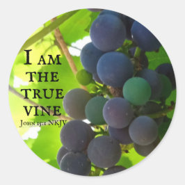 Photo of Purple Grues Gospel of John Bible Verse ラウンドシール