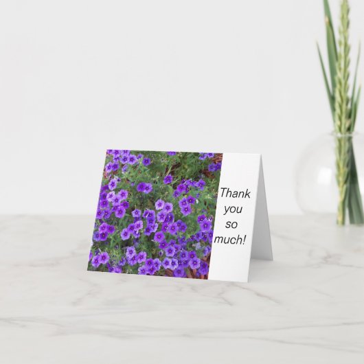 Photo of Purple Phlox flowers on a Thank カード (正面)