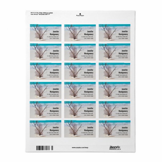 Photo of Seashells on a Sandyビーチ ラベル (フルシート)