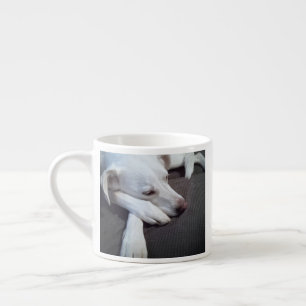Photo of Sleeping Dog Speedy Recovery Game エスプレッソカップ