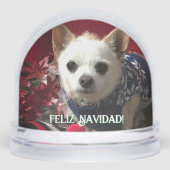 Photo pet child family baby vacation Snow Globe (正面)