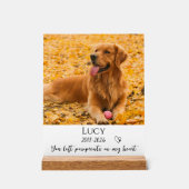 Photo Pet Memorial Dog Loss Keepsake Gift アクリルサイン (正面)