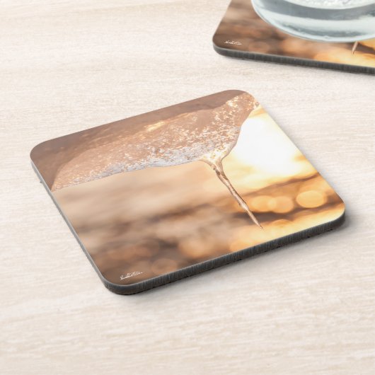 photo soleil au travers de la glace コースター (左側)