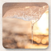 photo soleil au travers de la glace コースター (正面)