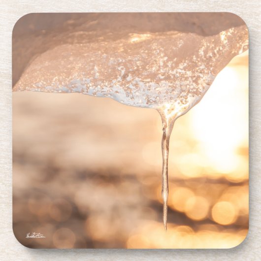 photo soleil au travers de la glace コースター (正面)