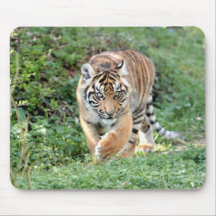 photo tiger cat animals.マウスパッド マウスパッド