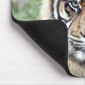 photo tiger cat animals.マウスパッド マウスパッド (コーナー)