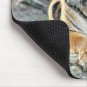 photo tiger cat animals.マウスパッド マウスパッド (コーナー)