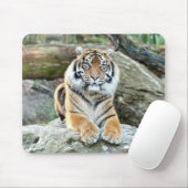 photo tiger cat animals.マウスパッド マウスパッド (マウス)