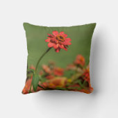 photo une fleur rouge. クッション (裏面)