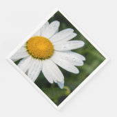 photo, une margueritte, font vert (コーナー)