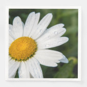 photo, une margueritte, font vert (正面)