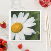 photo, une margueritte, font vert (インサイチュ)