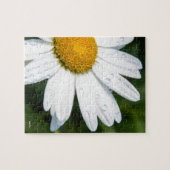 photo, une margueritte, font vert ジグソーパズル (横)