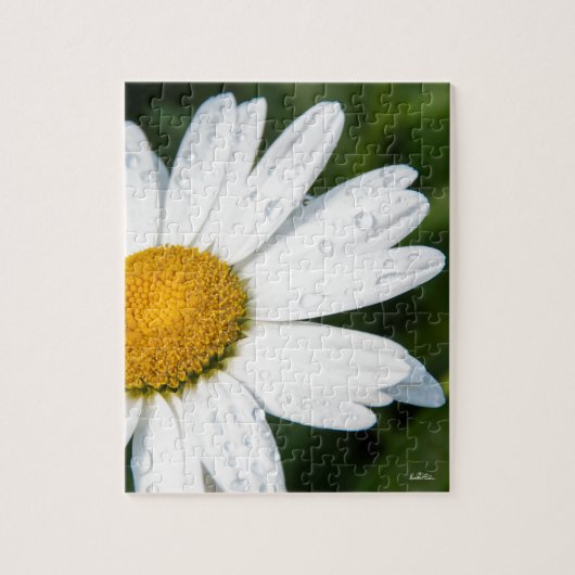 photo, une margueritte, font vert ジグソーパズル (縦)