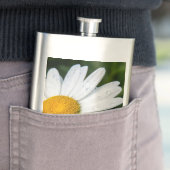 photo, une margueritte, font vert フラスク (インサイチュ)