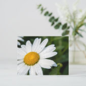 photo, une margueritte, font vert ポストカード (スタンド正面)