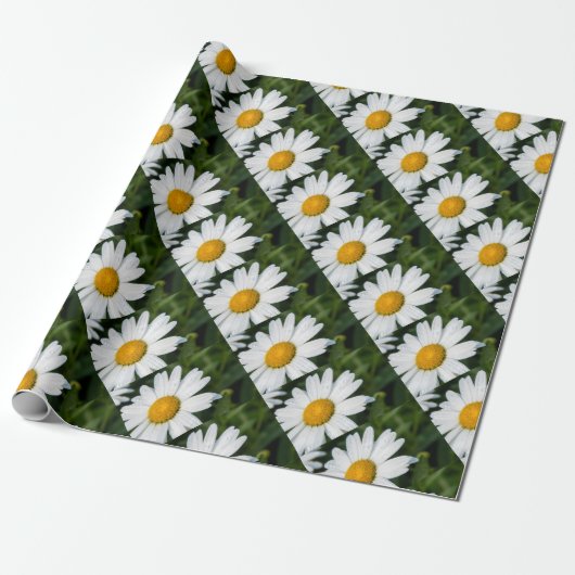 photo, une margueritte, font vert ラッピングペーパー (アンロールド)