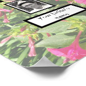  PhotoFamily Tree 3 Generation Pink Four O'clock's ポスター (角)