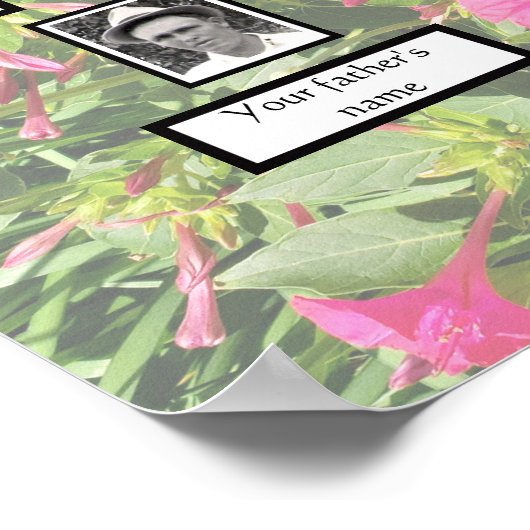  PhotoFamily Tree 3 Generation Pink Four O'clock's ポスター (角)